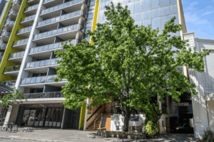 Milner International College of Englishの外観