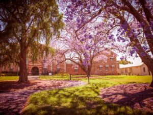 西シドニー大学のキャンパス